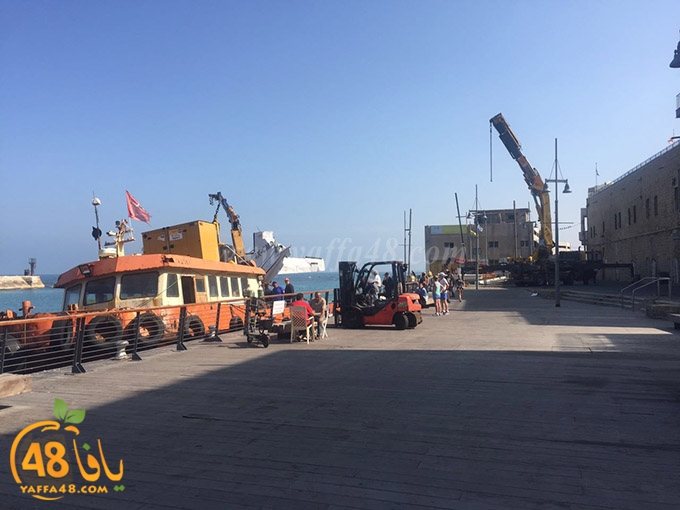 plane mina2a (10).jpg